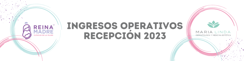 Ingresos Recepción 2023